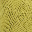 DROPS Paris 39 wasabi