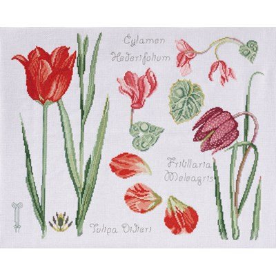 DMC No 2 14561b fleur & botanique - tulipe et cyclamen op=op 