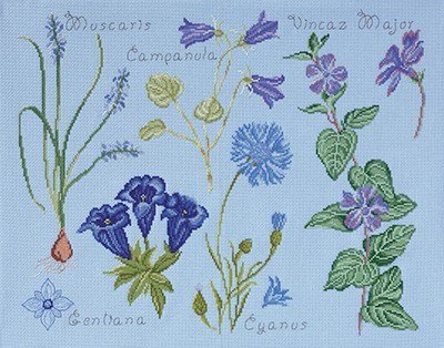DMC No 2 14561g fleur & botanique - gentiane et campanule