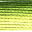 DMC 92 licht tot midden groen