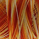 DMC special dentelles no. 80 - 0051 oranje - geel