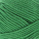 Lammy Yarns Victory 045 groen
