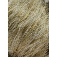 Lang Yarns Soft hair 847.0039 zand gemeleerd (op=op)