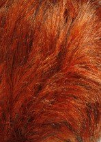 Lang Yarns Soft hair 847.0059 oranje op=op 