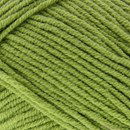 Scheepjes softfun 2531 linde groen