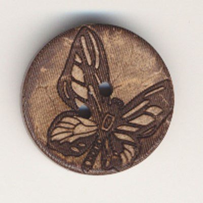 Knoop 34 mm kokos vlinder