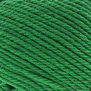 Lammy Yarns Rio 373 groen