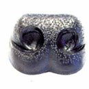 Neus 12 mm recht zwart (5 stuks)