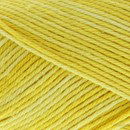 Scheepjes Sunkissed 15 noonday sun