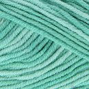 Scheepjes softfun denim 516 mint groen