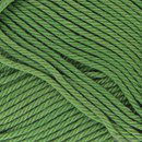 Schachenmayr Catania 412 moss