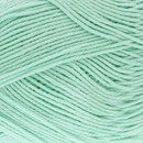 Lammy Yarns Rio 841 mint groen