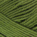 Lammy Yarns Rio 380 mosgroen