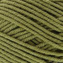 Hawai 4 - 027 oud groen - Lammy Yarns