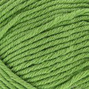 Lammy Yarns Victory 046 linde groen