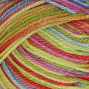 Lammy Yarns Rio multi 634 zuurstok