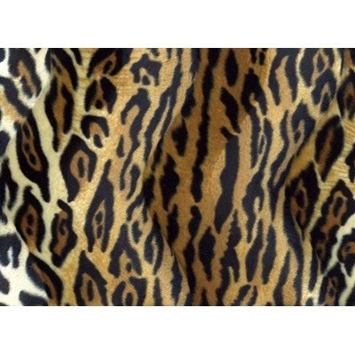 Velboa 01 dierenprint luipaard 50 cm 