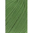 Lang Yarns Tissa 20.0016 lente groen