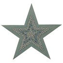 applicatie ster 10130 027 licht leger groen (14 cm)