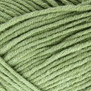 Scheepjes softfun 2606 oud groen