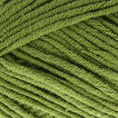 Scheepjes softfun 2616 leger groen