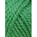 Lang Yarns Anouk 776.0017 groen (op=op)