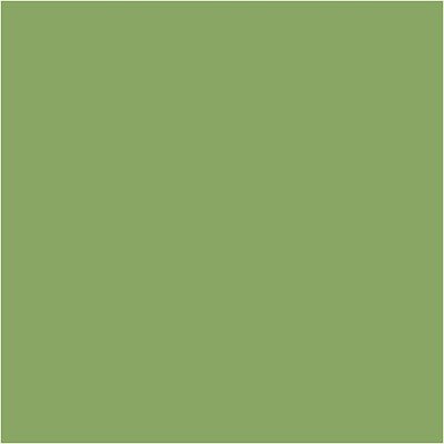 Plus Color acrylverf 39608 leaf green 60ml 