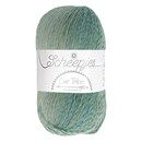 Scheepjes Unity - Our tribe 970 cypress textiles