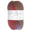 Scheepjes Unity - Our tribe 972 look at what i made