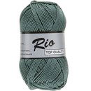 Lammy Yarns Rio 458 donker alsem