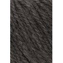 Lang Yarns Wooladdicts Earth 1004.0067 (op=op uit collectie)