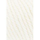 Lang Yarns Wooladdicts Fire 1000.0094 room