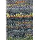 Lang Yarns Gossip (op=op)