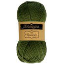 Scheepjes Namaste 611 Plow