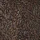 Pluche egeltjes bruin licht bruin (24 cm)