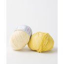 Phildar Phil Degrade Anise (op=op uit collectie)