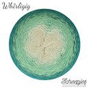 Scheepjes Whirligig 204 teal to ombre