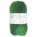 Scheepjes Unity - Our tribe 977 a spoonful of yarn