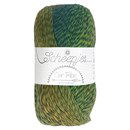 Scheepjes Unity - Our tribe 980 simmy 2