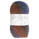 Scheepjes Unity - Our tribe 981 Marie 2