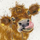 Borduurpakket dieren - Hannah Dale Moo