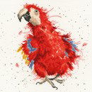 Borduurpakket vogel - Hannah Dale Parrot on Paraden