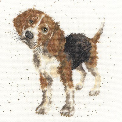 Borduurpakket hond - Hannah Dale Beagle