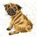 Borduurpakket hond - Hannah Dale Pug