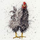 Borduurpakket dieren - Hannah Dale Curious hen