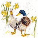 Borduurpakket dieren - Hannah Dale Ducks and daffs