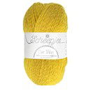 Scheepjes Unity - Our tribe 984 Old Bewick