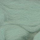 Merino lontwol 639 mint EU (50 gram)