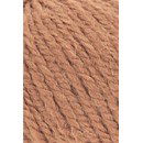 Lang Yarns Wooladdicts Earth 1004.0015 - camel (op=op uit collectie)