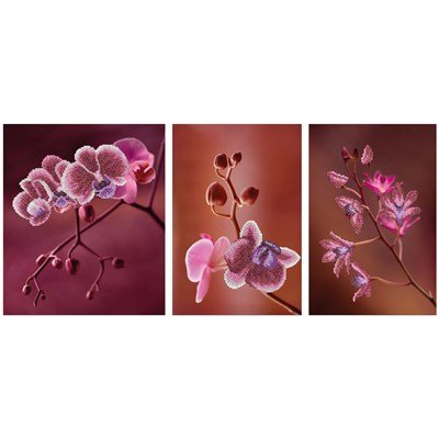 Miniart Crafts - Borduurpakket kraaltjes - Pink Orchids